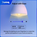 TP-Link Tapo L530E Multicolor Smart Wi-Fi Light Bulb