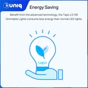TP-Link Tapo L510E Smart Wi-Fi Dimmable Light Bulb