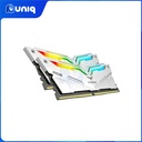 Team Elite T-Force Night Hawk Legend 32GB (2X16GB) DDR4 3600mhz RGB Desktop Memory