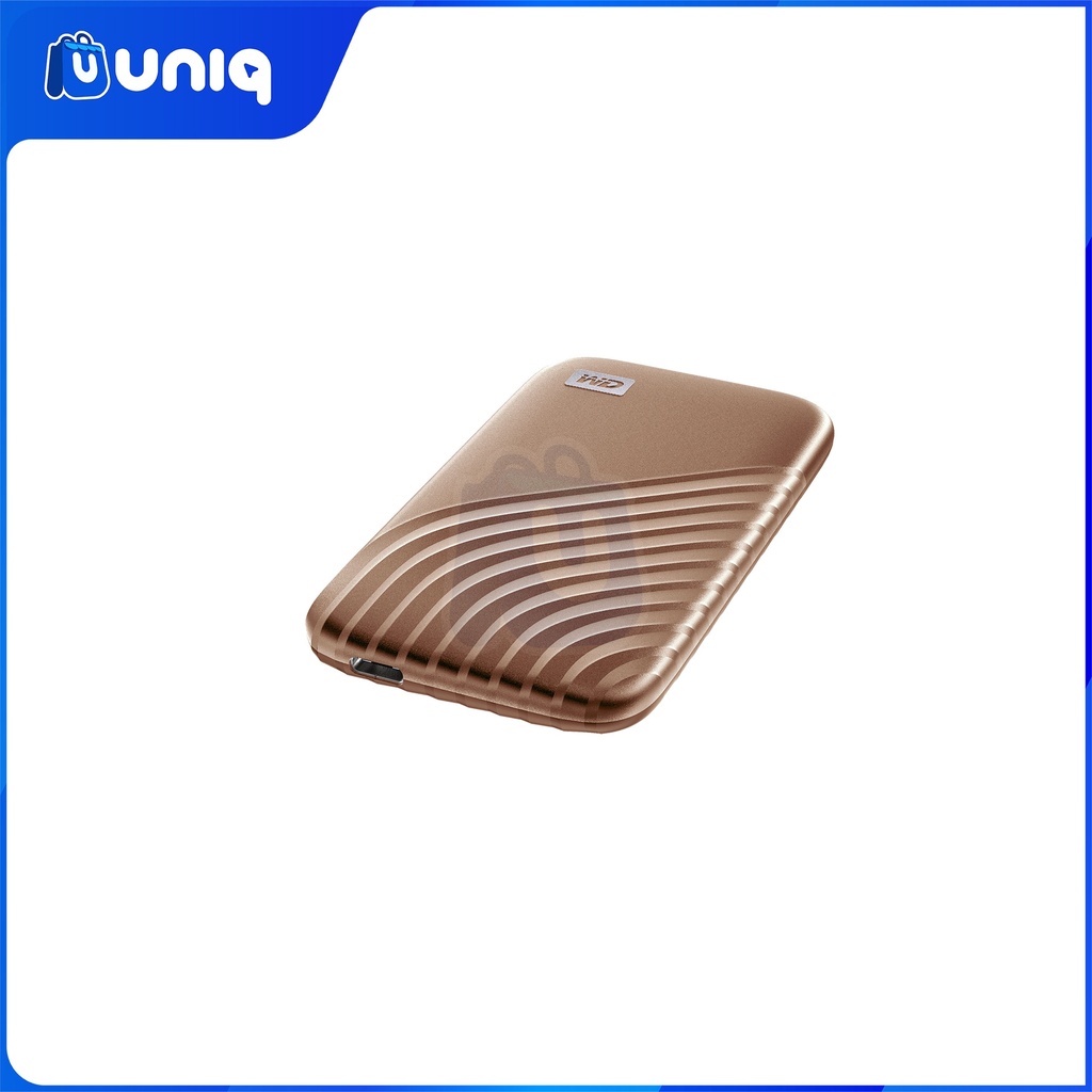 WD My Passport SSD 1TB (Gold) External SSD (WDBAGF0010BGD-WESN) with FREE WD Pouch