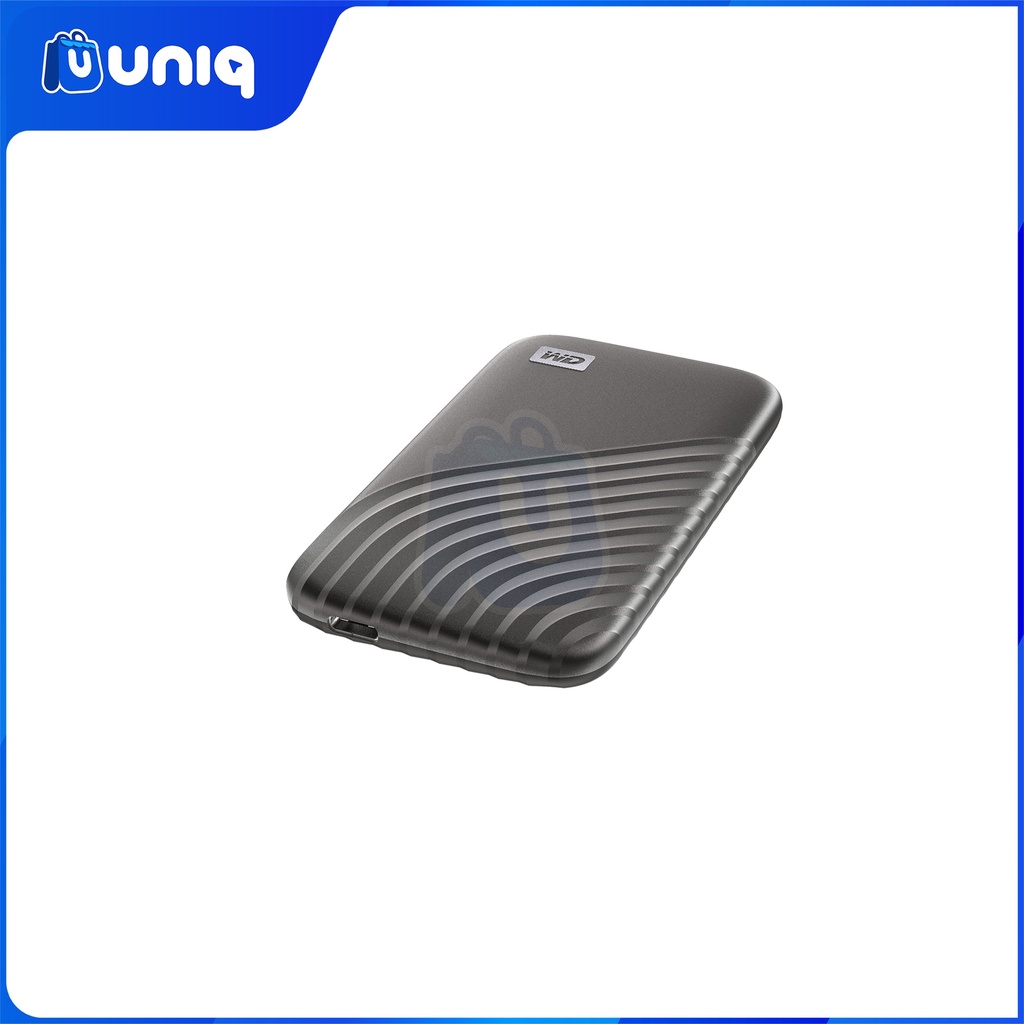 WD My Passport SSD 1TB (Gray) External SSD (WDBAGF0010BGY-WESN) with FREE WD Pouch