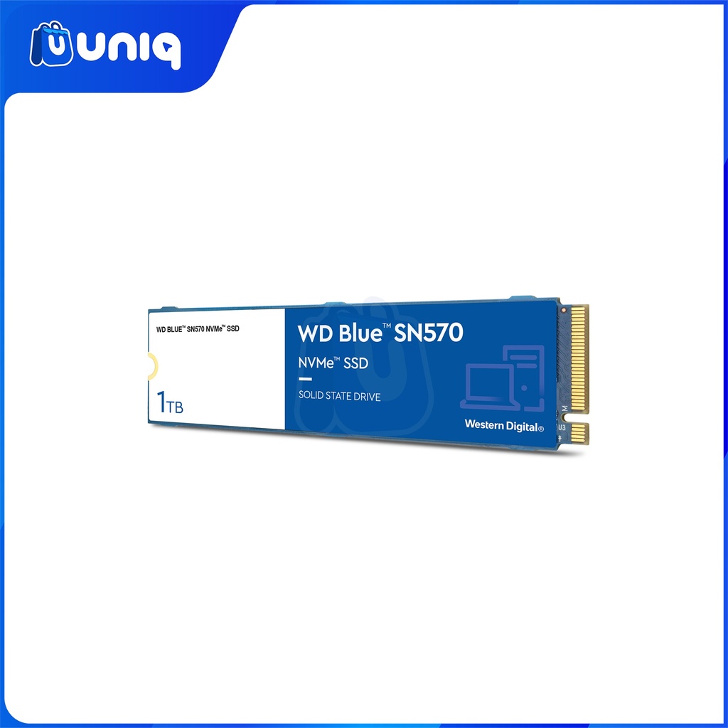 WD Blue SN570 1TB (WDS100T3B0C) Internal SSD NVMe