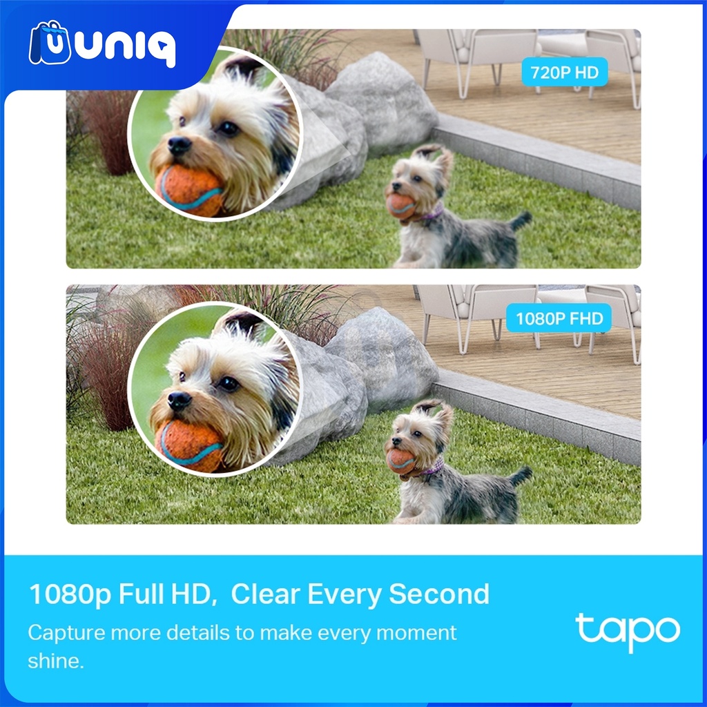 TP-Link Tapo C400S2 + SanDisk High Endurance ~ (Choose Your Capacity)