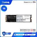 Team MS30 1TB M.2 SATA III Internal SSD