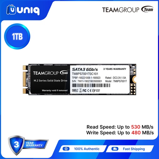 [SSD-Team-MS30_1TB] Team MS30 1TB M.2 SATA III Internal SSD